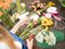 6 Pcs Round Flower Arrangement Kit, Wet Floral Foam, for Wedding, Aisle Flowers, Party Decoration 3 Inch